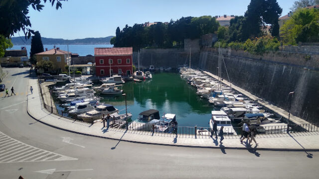 Octopus Transfers Croatia