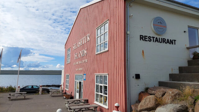 Icelandic Seal Center