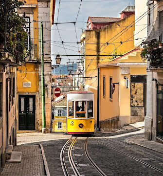 Lisboa Taxis – Táxis & Transfers Lda