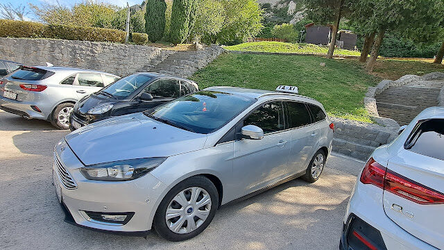Taxi za prijevoz kucnih ljubimaca – Taxi Blondi Split