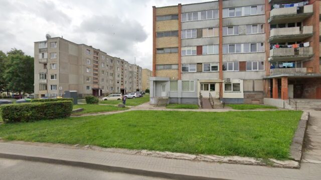 A. Zizovo imone