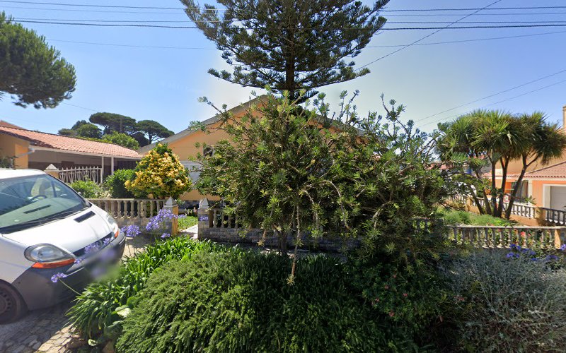 thumbnailpanoidT1j5Y35rpMcHFZvQJNcKigcb_clientsearch.gws-prod.gpsw800h500yaw152.6975pitch0thumbfov100.jpeg