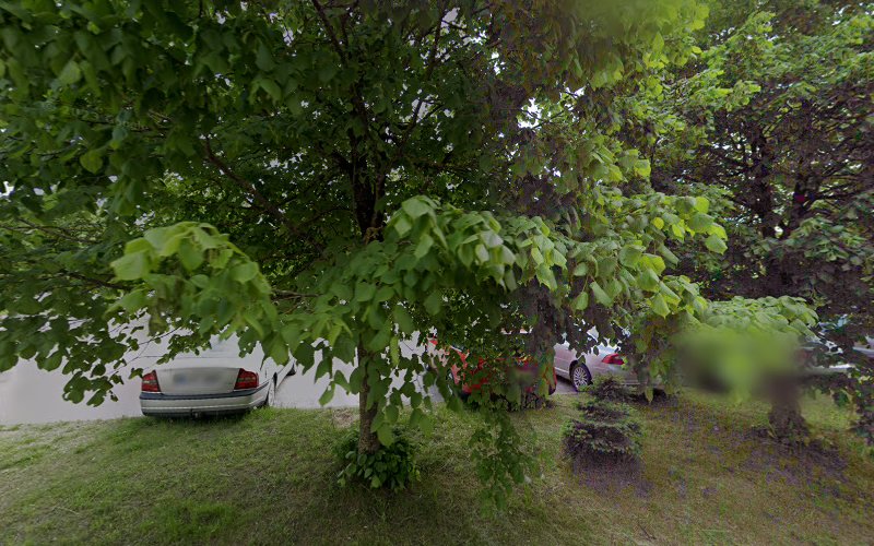 thumbnailpanoidYg474QI7-T0spxa-02HXUgcb_clientsearch.gws-prod.gpsw800h500yaw103.337204pitch0thumbfov100.jpeg