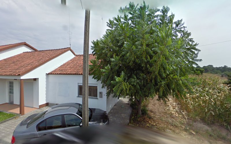 thumbnailpanoidi5JoBNNRdQ0OfdMGyDOVLgcb_clientsearch.gws-prod.gpsw800h500yaw115.683716pitch0thumbfov100.jpeg