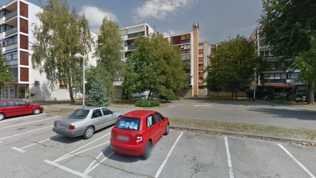 TAKSI SLUŽBA, ZORAN MILINKOVIĆ